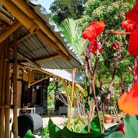 Bamboo Cottage Langkawi Pantai Cenang  Exteriér fotografie