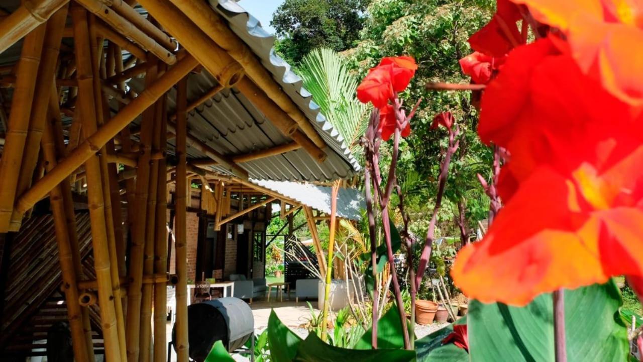 Bamboo Cottage Langkawi Pantai Cenang  Exteriér fotografie